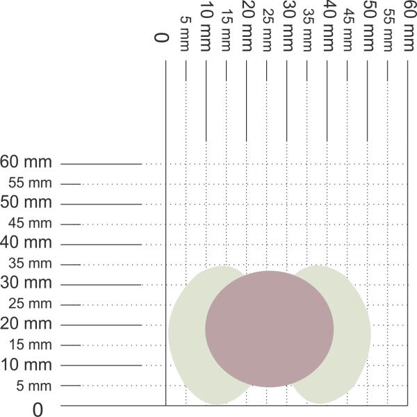 Schnuller Avent